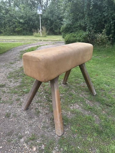 Vintage hide leather gymnastic - leather,
