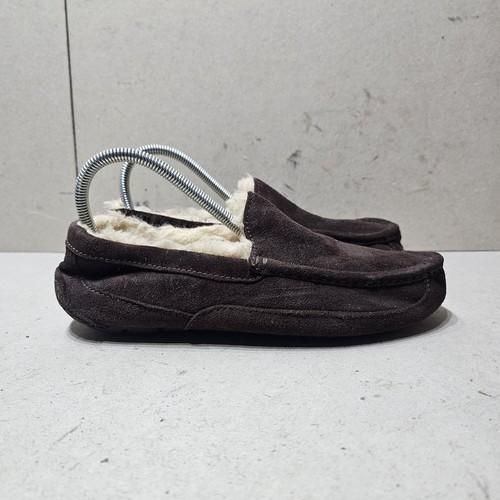 Ugg 1101110 ascott - 1101110,