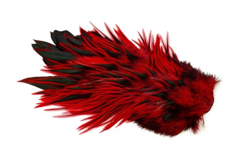 Whiting brahma rooster - whiting,