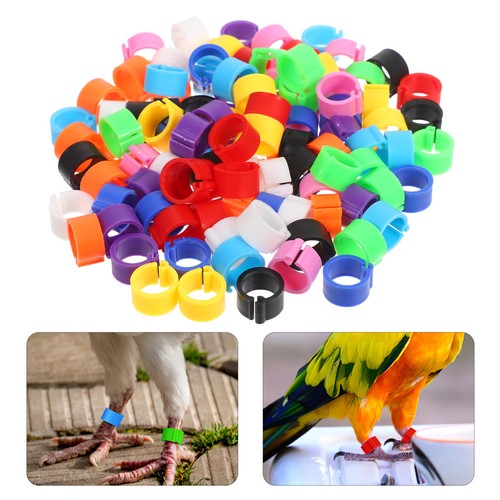 100pcs bird opening - bird,