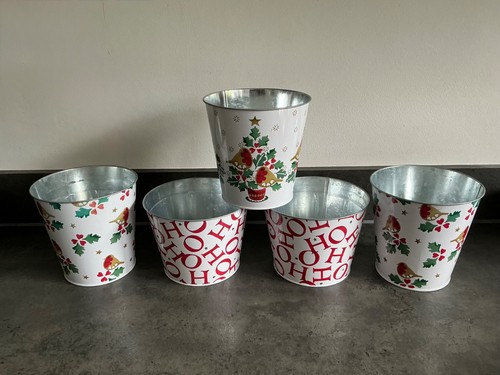 Emma bridgewater plant - x,