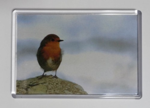 Extra large fridge magnet - large,