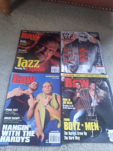 Wwf magazines hardys - magazines, tazz