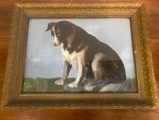 Antique Victorian Collie
