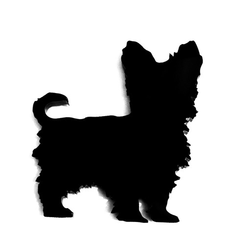 Yorkshire terrier dog fridge - terrier,