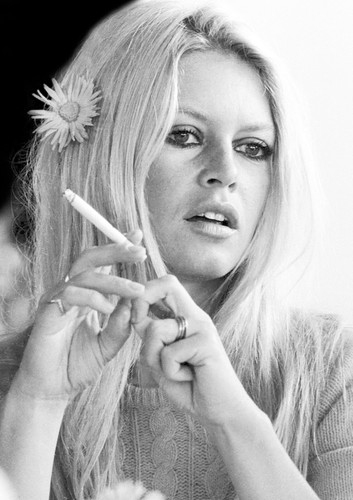 Brigitte bardot monochrome - brigitte,