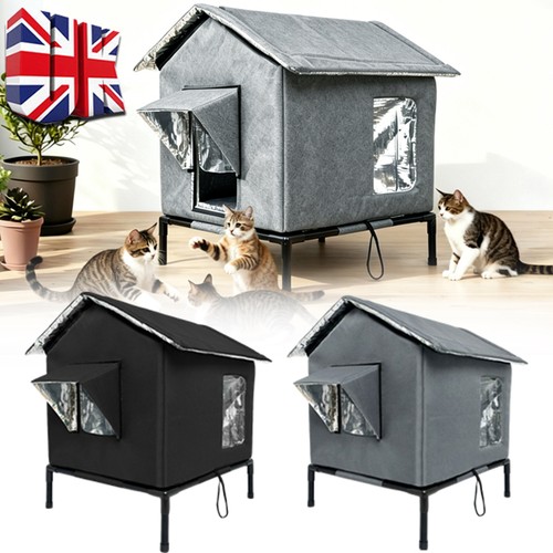 Winter warm insulated cat - warm,