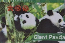 3D Giant Pandas Vintage Postcard