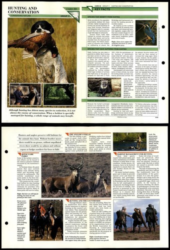 Hunting conservation 39 - hunting, &