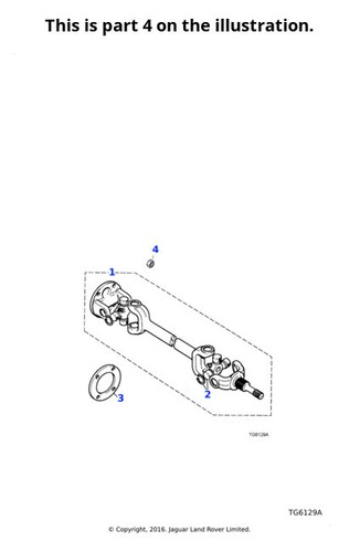 10x jaguar nut transmission - jaguar,