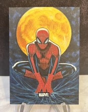 Spider-Man Artist Sketch (1/1)