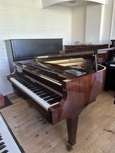 Waldstein 190 baby grand piano - baby,