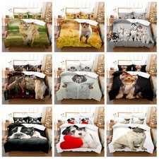 Heart cute pet - cute,