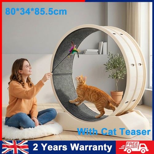 Cat exercise wheel large - wheel,