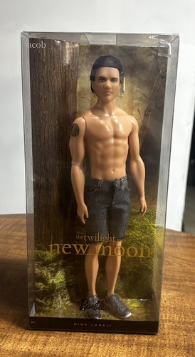 Twilight saga new moon jacob - twilight,