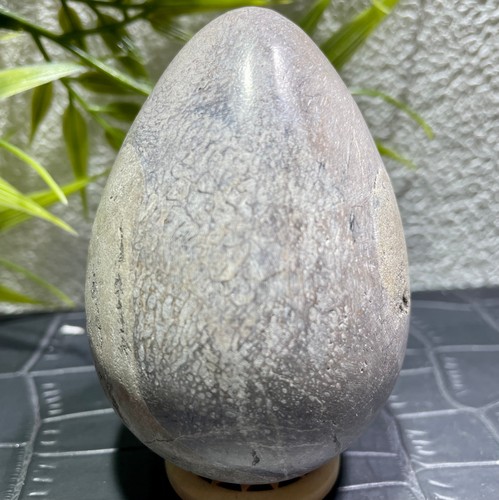 320g natural dinosaur fossil - natural,