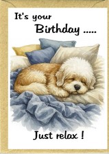 Dandie Dinmont Terrier Dog