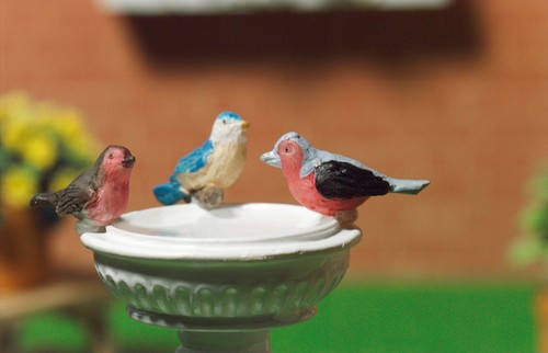 Three colourful birds new - birds,