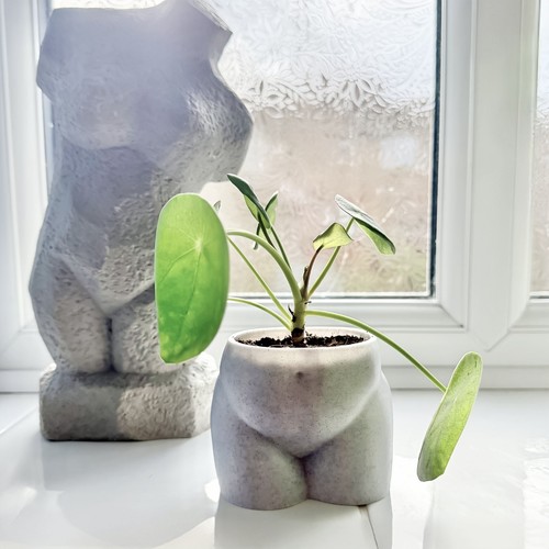 Modern planter pot indoor - planter,