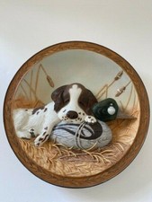 Field Pup Follies 3D Plate