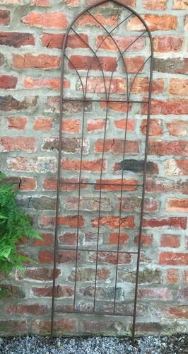 Gothic garden climbing plant - gothic,