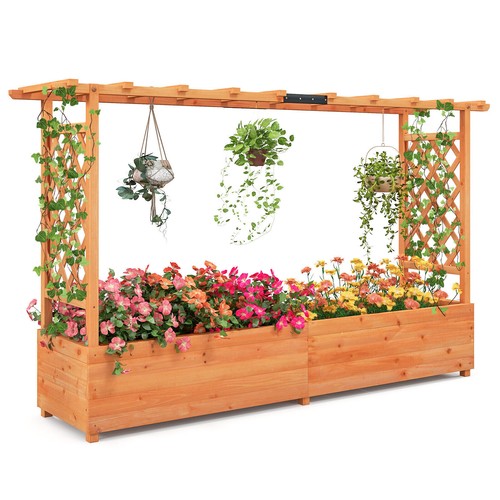 Raised garden bed with trellis - bed,