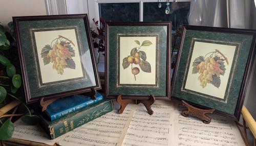 Vintage framed botanical - framed,