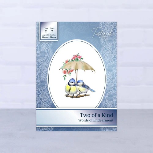 Tattered lace dies words - lace,
