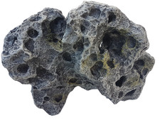 Colorado gray moss rock - moss,