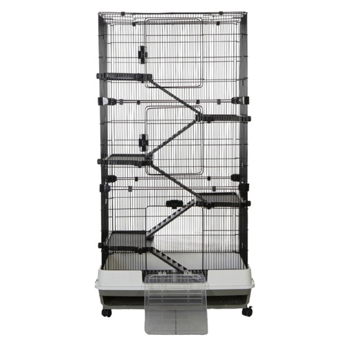 Rat ferret chinchilla pet - chinchilla,