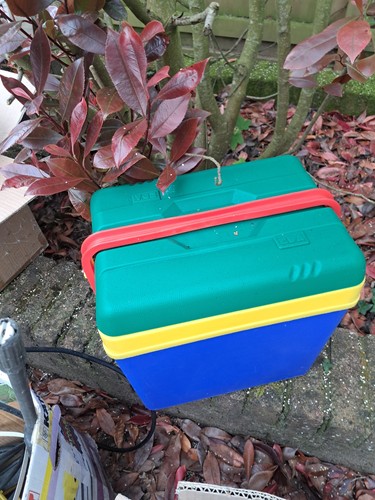 Eda vintage cooler box - cooler,