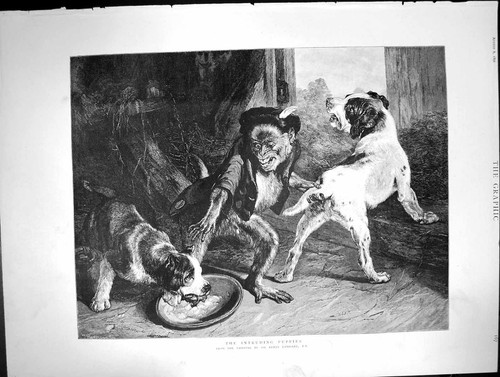 Antique old print intruding - old,