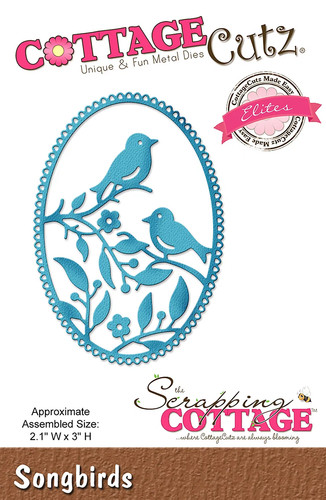 Big shot sizzix cottage cutz - sizzix,
