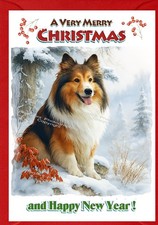 Shetland Sheepdog / Sheltie