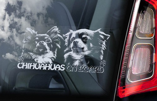 Chihuahuas car sticker - car,