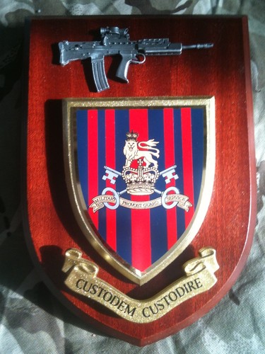 Military provost guard service - provost,