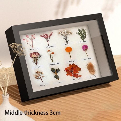 Shadow deep box frame specimen - deep,