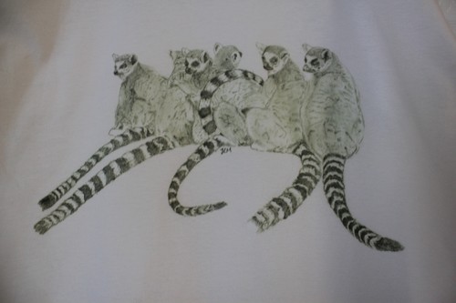 Lemur shirts sizes - sizes, 3-6
