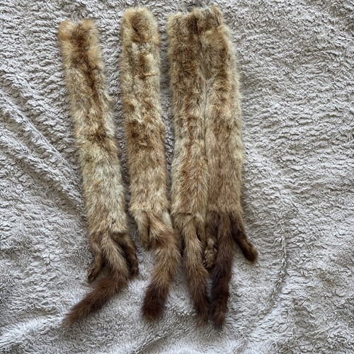 Vintage mink furs for collars - vintage,