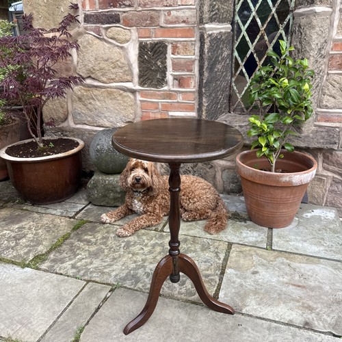 Occasional wine table - wine, tripod