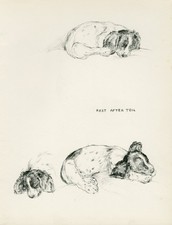 COCKER SPANIEL SLEEPING PUPPIES VINTAGE 1937 DOG ART PRINT by ARTIST KF BARKER