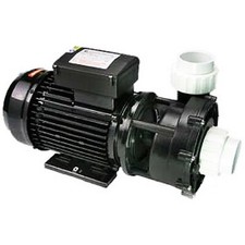 LX LP250 Pump 2.5HP Chinese