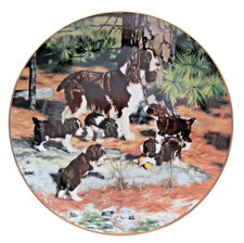 Hamilton Collection Plate SPRINGER SPANIELS Classic Sporting Dogs + Certificate