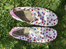 El Naturalista , El Viajero