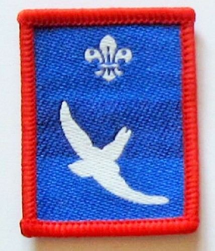 Scout patrol badge - scout,