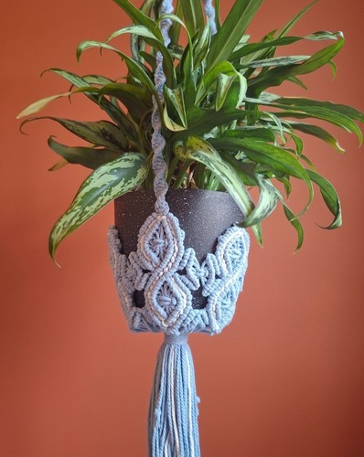 Medium macrame plant - plant, hanger