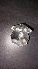 Small Crystal Clam Oyster
