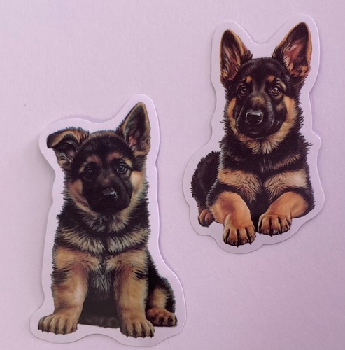 Cute german shepard puppy dog - german,