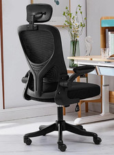 Ergonomic Mesh Office Chair