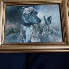 "Dignaty" Two Hares Abd A